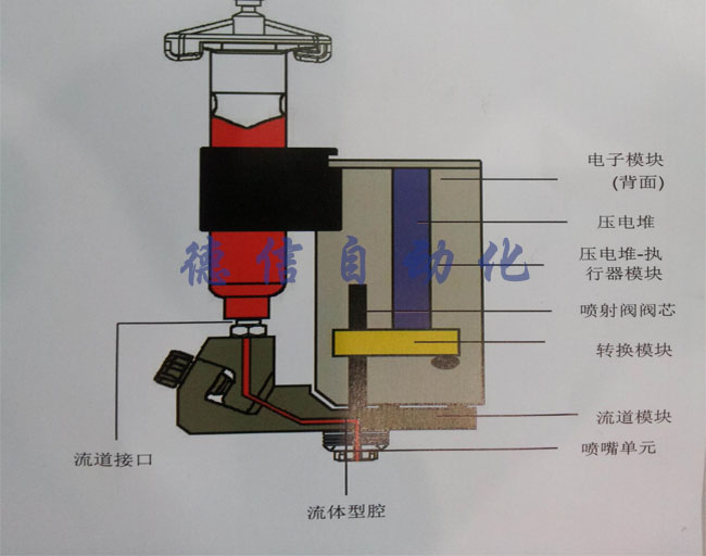 1522583563185247.jpg 333 - 副本.jpg